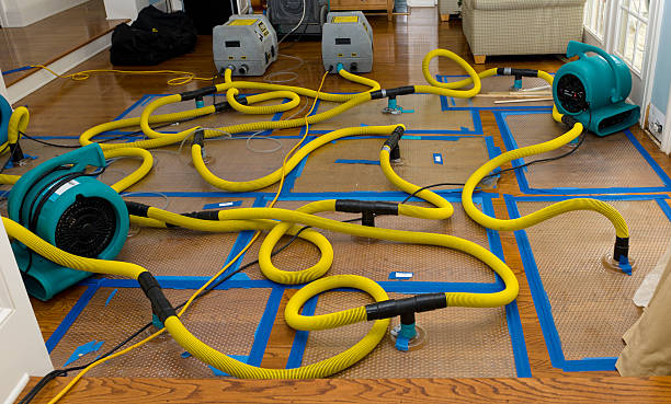 Professional Crawl Space Water Removal technician working in Zimmerman, MN